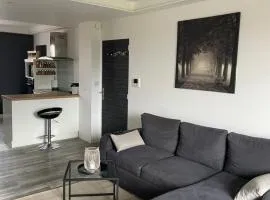 Grand appartement avec balcon et 2 chambres