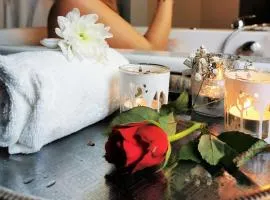 Penthouse mit Whirlpool, Sauna, Dachterrasse und Schwedenofen, air-condition