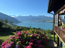 Ferienwohnung mit fantastischer Aussicht，位于阿施伦的酒店