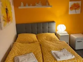 Apartment Adlerblick