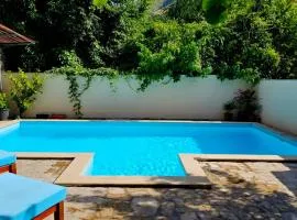 Lovely house with swimming pool