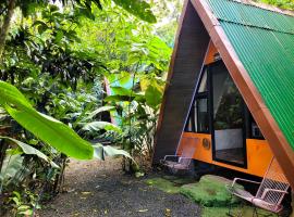 Chalets Silencio del Bosque，位于福尔图纳的酒店