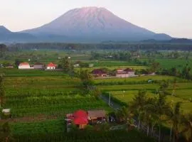 邦佳亚林奇乡村民宿