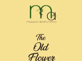 The Old Flower