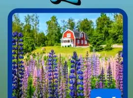 Charming Swedish Cottage from 1909