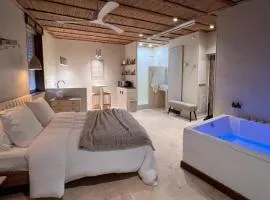 Loft Balneo