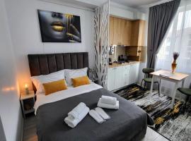 Studio Helen，位于奥内什蒂的带停车场的酒店