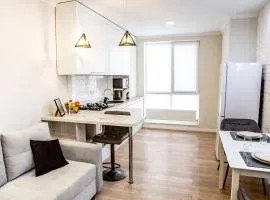 Quiet & Stylish, near Center penthouse - Free coffee, Netflix & much more - GrandStay md