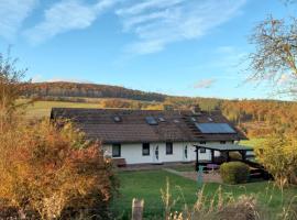 Ferienhaus Willingen Diemelsee，位于Diemelsee的酒店