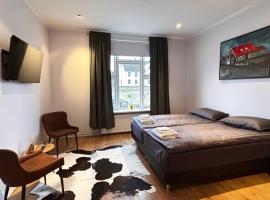 City Guesthouse，位于雷克雅未克的酒店