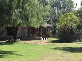 The Lions Foundation Rescue & Conservation Centre at Schrikkloof