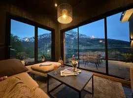 Olden house 65