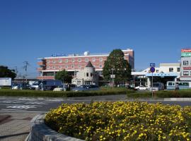 龙崎广场新馆经济型酒店，位于Ryūgasaki的酒店