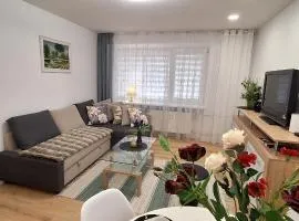 Šiauliai Central Vytauto Apartment
