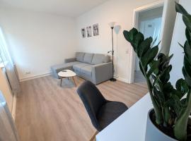 2 Zimmer Wohnung Zentrum Offenburg，位于奥芬堡的酒店