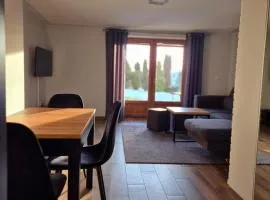 Apartament Pod Danielkami