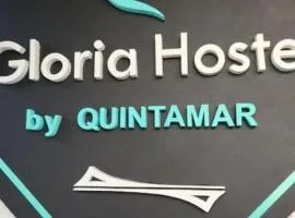 Hostal Gloria Viña 2 poniente 333