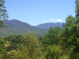 STUNNING cabin with a MOUNTAIN VIEW, hot tub, and dog friendly!