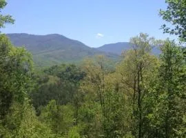 Pool table, pet friendly, hot tub, & mountain view, 3 bedrooms