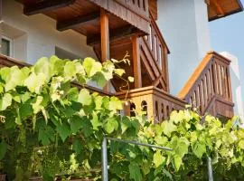 Albergo Diffuso "Col Gentile" Socchieve