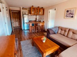 Depto Pucon WIFI Internet full equipado a 5 min de lago y centro，位于普孔的公寓