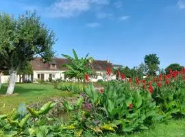 Gîte spacieux avec jardin, WiFi, animaux admis - FR-1-410-462