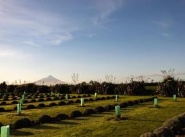 The Distillery- Lavender Farm Studio apartment，位于Normanby的民宿