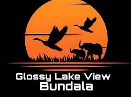 Glossy Lake View