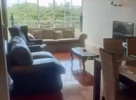 APARTMENT IN ESSENWOOD Musgrave