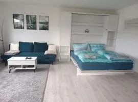 Apartment mit Rheinblick