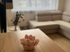 Aurora Apartment close to the city centre and the sea