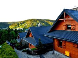 Alpejskie Domy Ski House，位于克雷尼察的木屋