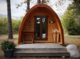 Cabane en bois POD 2，位于Champfromier的酒店