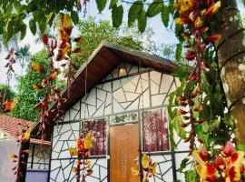 Josh Holidays Wayanad