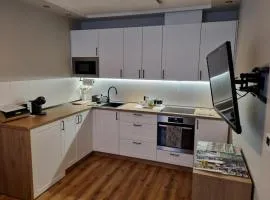 Apartament Pod jeleniem