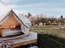 Golden Zelt Lebenshofalpakas，位于Ziemetshausen的酒店