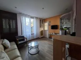 Chambre Villa Virginie Confort, Cuisine équipée, WiFi Parking jardin, Idéal couple, famille ou télétravail, Accès rapide Paris, Aéroport d'Orly