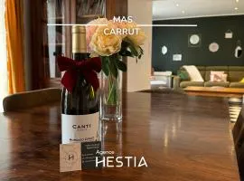Mas Carrut pool and comfort