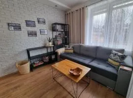 APARTAMENT w CENTRUM, BEZPŁATNY PARKING