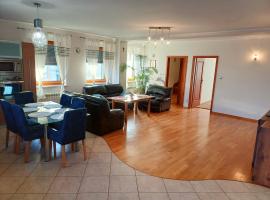 Apartamenty Aneta，位于Pleszew的酒店