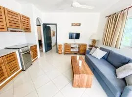 la fenice un apartamento de ensueño en Las Terrenas playa Punta Popy