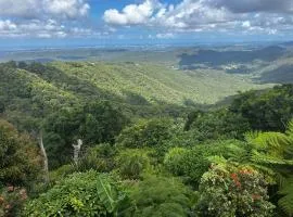 Green Cauldron, Homestay, Tamborine Mountain, Private Room, Ensuite, Private Courtyard, Gold Coast Views