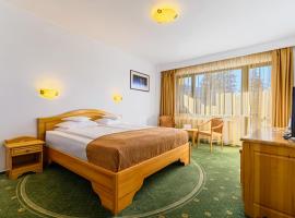 Hotel Casa Viorel jacuzzi & saunas，位于波亚纳布拉索夫的酒店