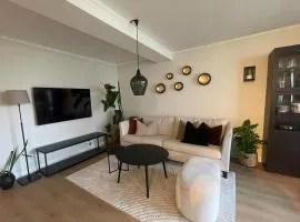 Newly renovated apartment for rent