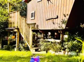 La cabane perchée du trappeur