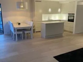 Exclusive apartment in Kristiansand - Høllen