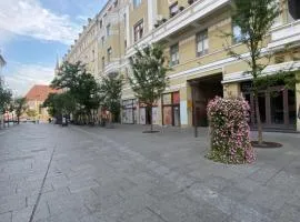 Central studio flat Cluj Napoca