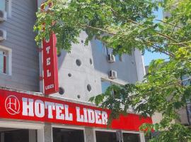 Hotel Lider，位于巴拉那瓜的酒店