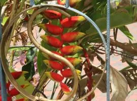 Sweetsop Jamaica Villa and Tour