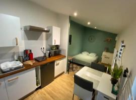 LE PATIO Studio-Terrasse Montbeliard-Centre，位于蒙贝利亚尔的酒店